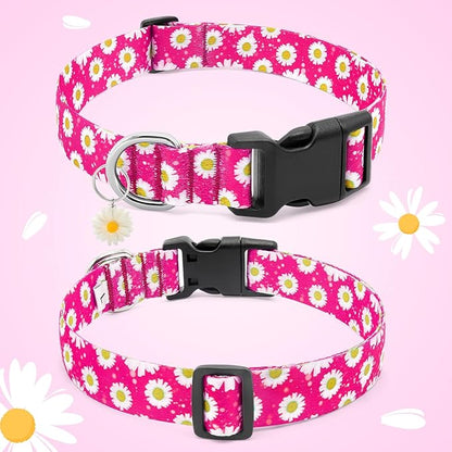 BiPawTi Floral Dog Collars for Large Dog - Soft Cute Dog Collars for Girls Dog Pretty Flower Collar with Daisies Charms, Gift for Female Male Boys Girls Dogs (L, Pink)