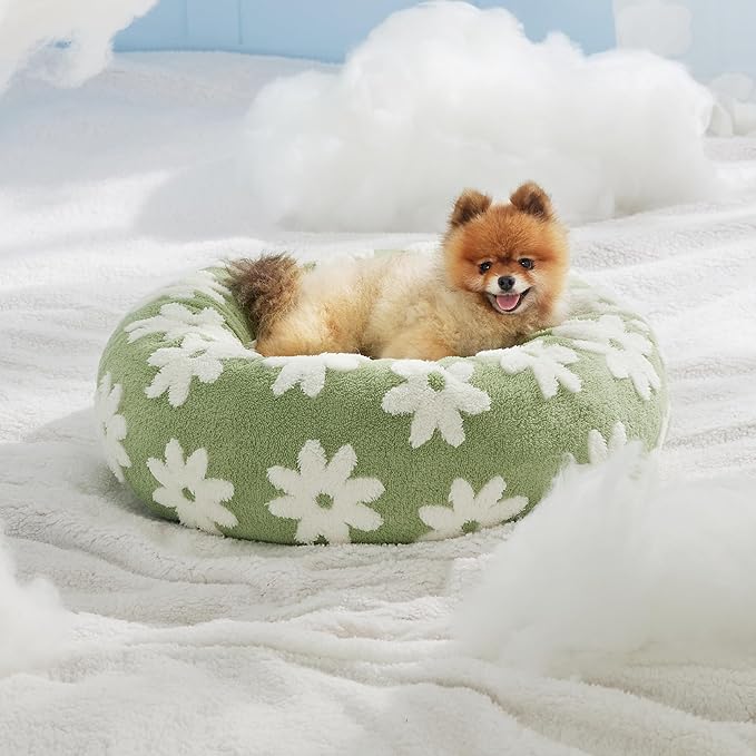 Lesure Donut Small Dog Bed - Round Cat Beds for Indoor Cats Calming Pet Beds, Cute Modern Beds with Jacquard Shaggy Plush & Anti Slip Bottom, 23 Inch, Green