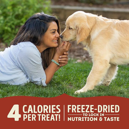 Singles Freeze Dried Dog Treats, Limited Ingredient Grain Free Beef & Pumpkin Recipe, 1.25oz