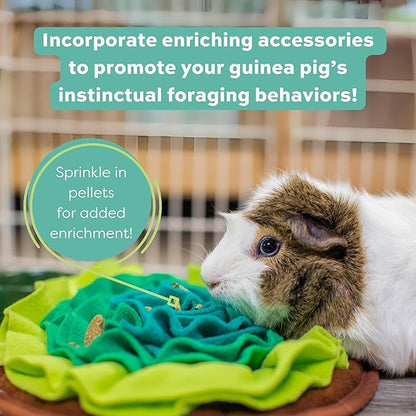 Oxbow Essentials Guinea Pig Food, Adult Guinea Pig, Made with Oxbow Timothy Hay, Pet Food Pellets with Vitamin C, Small Animal Pet Products, Made in USA, High Fiber, 5 lb. bag