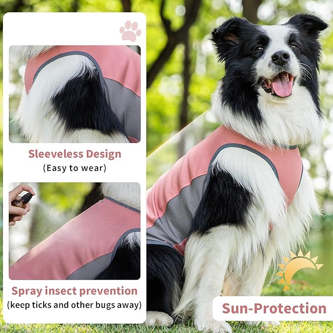 Dog Shirt, Lightweight Breathable Dog Cooling Vest Sun Protection Pet T-Shirts Quick Dry Soft Stretchy Reflective Label Pet Clothes - Small Medium Large Dogs (Brier Rose 1PC, Small)