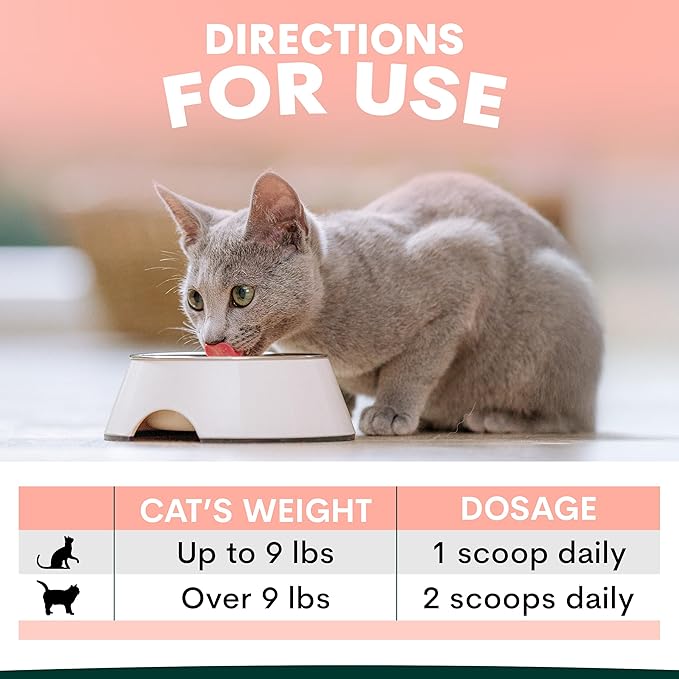 Hip and Joint Supplement for Cats - Glucosamine, Chondroitin, MSM for Joint Hip Care, Arthritis Pain Relief, Mobility Support, Cartilage Health, Inflammation Reduction - Senior Cat Support, 60 Scoops