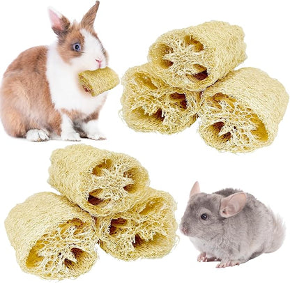 BNOSDM Bunny Chew Toys Natural Loofah 6PCS Bunny Teeth Grinding Toy Rabbit Fiber-Rich Treats Pet Entertainment Accessories for Rabbits Chinchillas Guinea Pig（L）