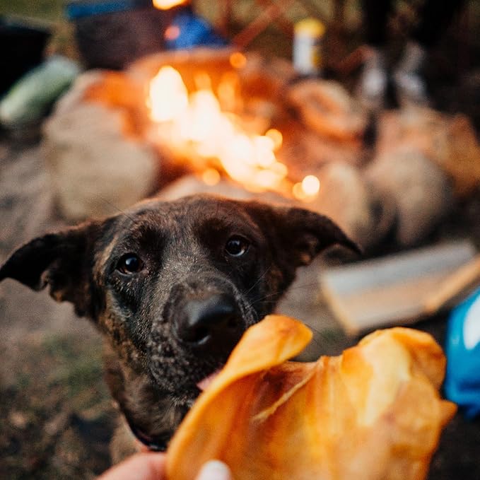 Best Bully Sticks Hickory Smoked 100% Natural Whole Pig Ears for Dogs 12 Pack - USA Smoked No Additives Pork Dog Treats - for Small or Large Dogs