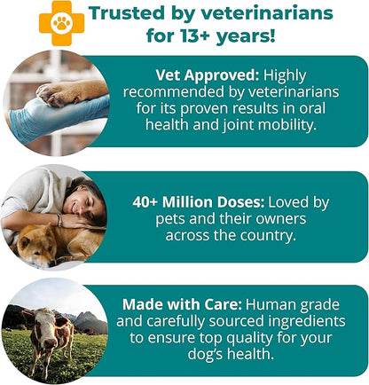 1TDC WorksSoWell Dual Action Joint Supplement for Dogs & Cats - Hip and Joint Supplement for Large Breed & Small Breed - Also Great for Oral Health - Muscle & Stamina Recovery & Arthritis - 120ct