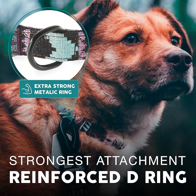 Embark Urban Dog Collar  Dog Collar Stylish & Durable Nylon Dog Collar for Large Dogs, Small Dogs & Medium Dogs.Comfortable Pet Collar Strong Buckles for Any Size Breed |Puppy Collars|