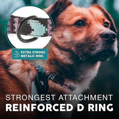 Embark Urban Dog Collar  Dog Collar Stylish & Durable Nylon Dog Collar for Large Dogs, Small Dogs & Medium Dogs.Comfortable Pet Collar Strong Buckles for Any Size Breed (Aztec, Small)