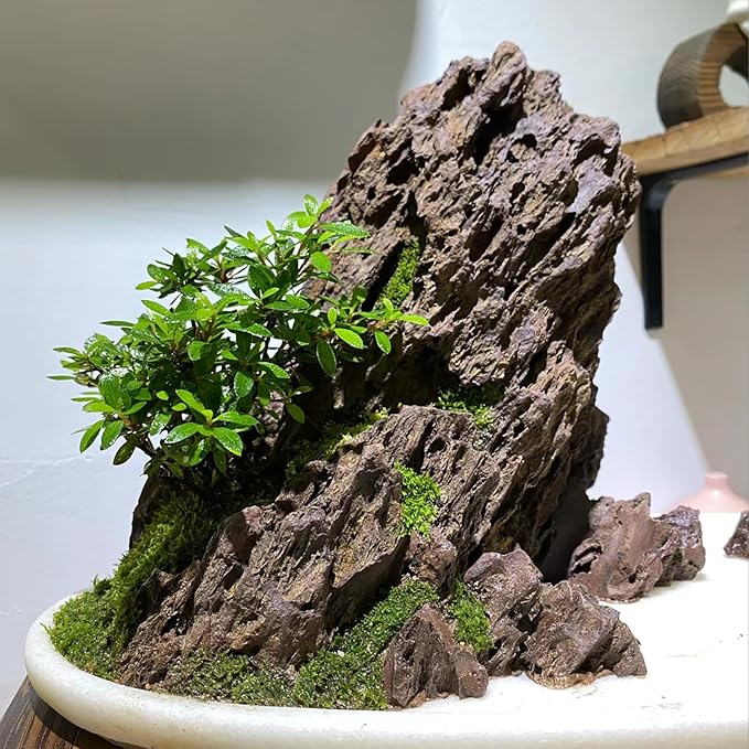 Natural Rock Stone 20LB Decorative Aquarium Rocks for Aquarium Landscaping Models and pH Neutral Rocks Aquascaping Stones for Terrariums-2-8 inches