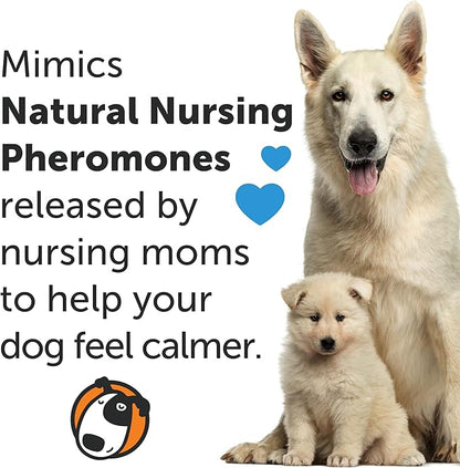 ThunderEase Dog Calming Pheromone Spray | Powered by ADAPTIL | Reduce Anxiety During Travel, Vet Visits and Boarding