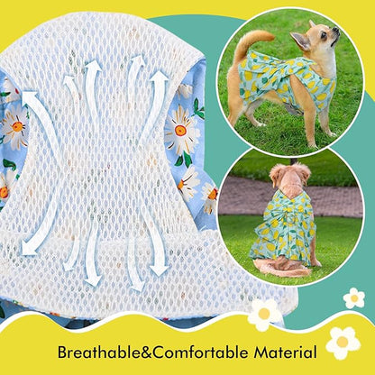 Dora Bridal 2 Pack Dog Dress Harness Vest with Leash, No Pull Cat Small Medium Girl Pet Floral Harness Leash Set, Cute Puppy Fruit Outfit Clothes with Bow, Mesh Princess Costume for Outdoor Walking