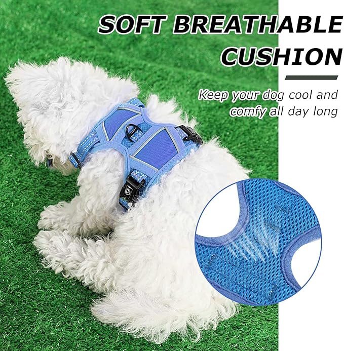 Dog Harness Small Sized Dog, No Pull Pet Harness with 2 Leash Clips, Adjustable Soft Padded Dog Vest Harnesses, Reflective No-Choke Pet Oxford Vest