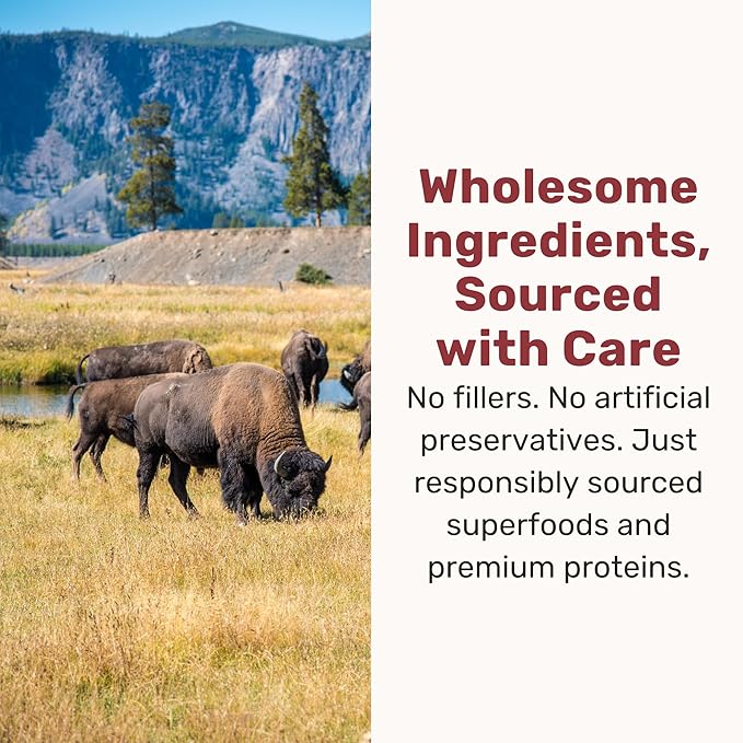 BADLANDS RANCH Superfood Nuggets – Freeze-Dried Raw Dog Food Topper/Treat. Nutrient-Dense Bison & Kale Formula. No Artificial Additives. Premium 8oz Bags – 4-Pack Bundle