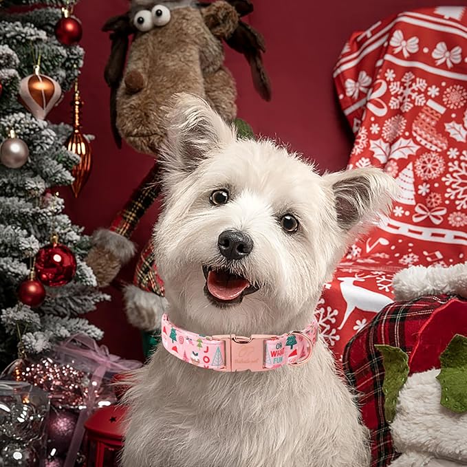 Christmas Dog Collars for Large Dog,Pink Dog Collar with Safety Metal Buckle Adjustable Puppy Collars for Small Medium Dog,Boy&Girl&Male&Female Dog Gift,XL-16-26"