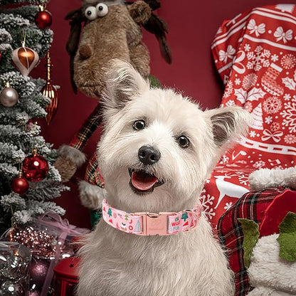 Christmas Dog Collars for Large Dog,Pink Dog Collar with Safety Metal Buckle Adjustable Puppy Collars for Small Medium Dog,Boy&Girl&Male&Female Dog Gift,L-16-24"