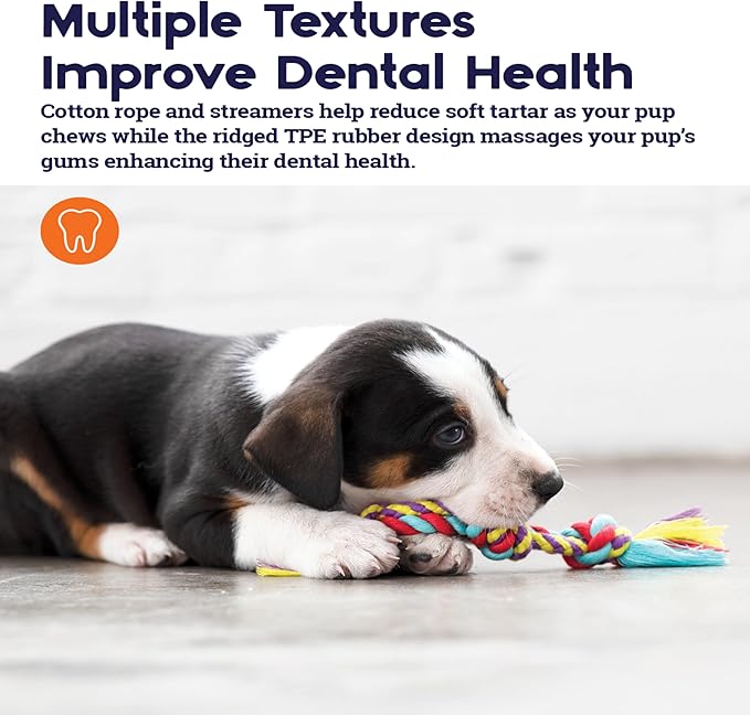 Petstages Orka Mini Dental Dog Chew Toys - 3 Pack