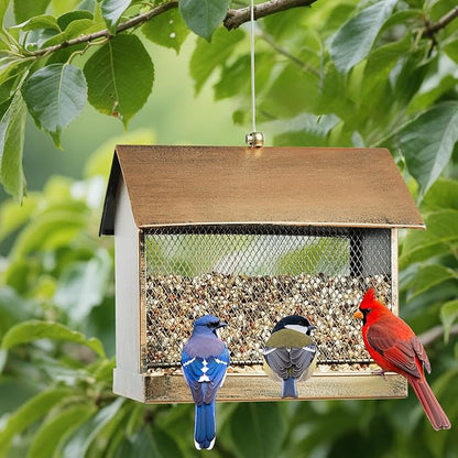 Bird Feeder for Outdoor, Heavy Duty Metal Wild Birdfeeder for Garden Yard Outside Hanging, House Shape Large Capacity