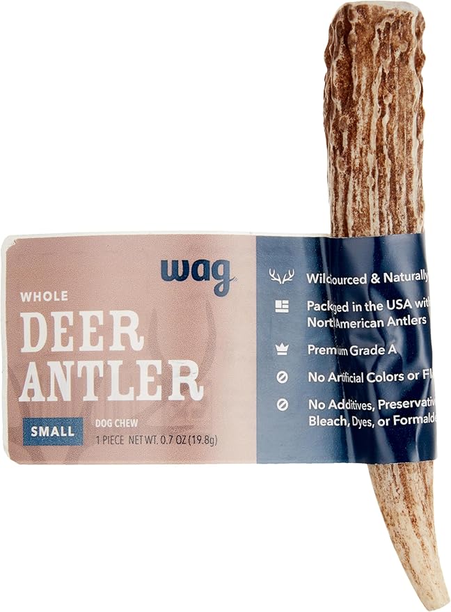 Amazon Brand  Wag Dog Deer Antler Chew, Naturally Shed. Whole, Small (Best for Dogs under 15 lbs) 45.5 inches