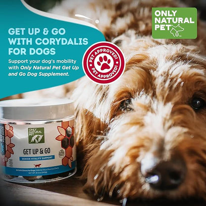 Only Natural Pet Get Up & Go Herbal Joint Support Supplement for Dogs - Holistically Formulated with Corydalis & Turmeric Hip & Joint Daily Vitamin for Senior Dog - Bacon Flavor - 60 Soft Chews