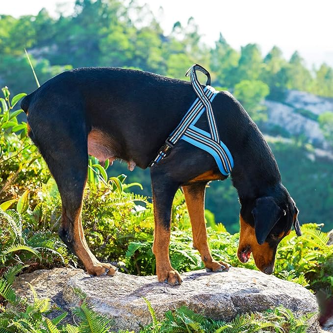 Dog Harness No Pull Easy Padded Pet Harness with Adjustable Botton Front Clip Reflective Puppy Harnesses for Small Medium Large Dogs (Black,XS)