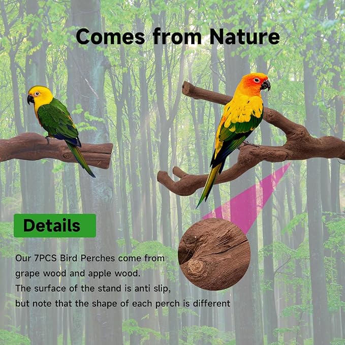 6PCS Bird Perches Natural Parrot Perch Stand for Cage, Grape Wood Stands, Bird Platforms, Parakeets Paw Grinding Fork Exercise Toys Set for Cockatiels, Conure, Parrot