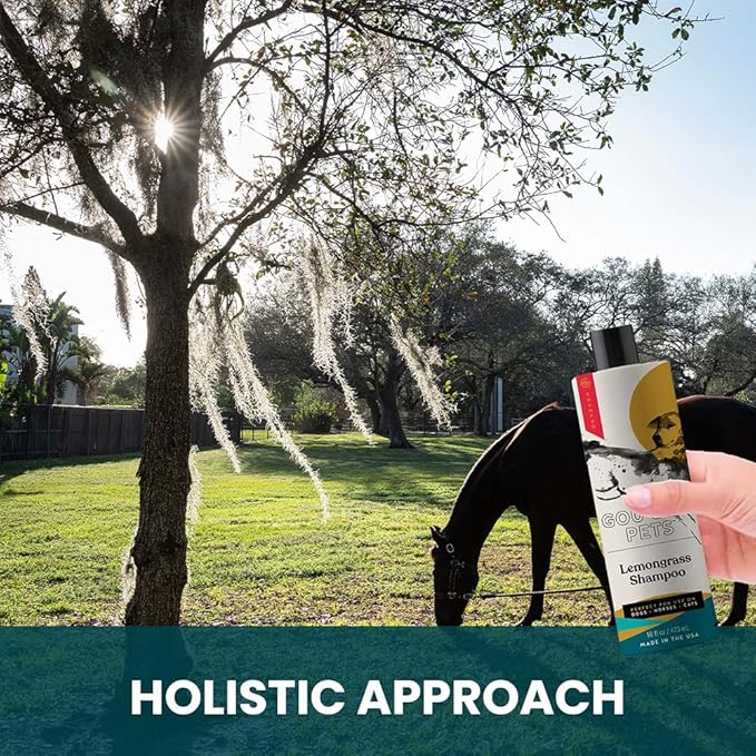 Holistic, Natural and Clean Pet Care Lemongrass Shampoo: Veterinarian Recommended - Hydrate Your Pet_ Coat With Our Hypoallergenic Shampoo For Dogs, Cats and Horses - Made in USA - 16 oz