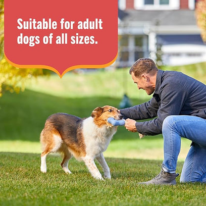 Nutrish Gentle Digestion Premium Paté and Chunks in Gravy Variety Pack Wet Dog Food, 13 oz. Can, 12 Count (Rachael Ray)