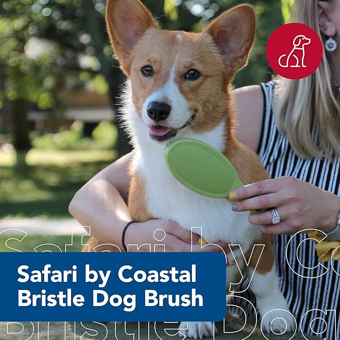 Coastal Pet Safari Bristle Dog Brush, Brush, Small (8" L x 2" W)