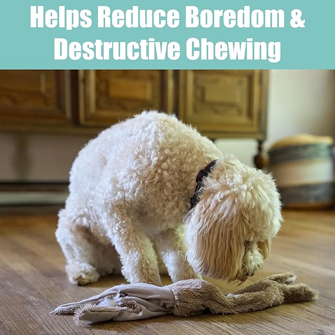 SPOT Skinneeez Rabbit 22 Inch Stuffing-Free Plush Dog Toy with Dual Squeakers – Long Interactive Chew Toy for Medium and Large Dogs – Mess-Free Play for Light & Moderate Chewers