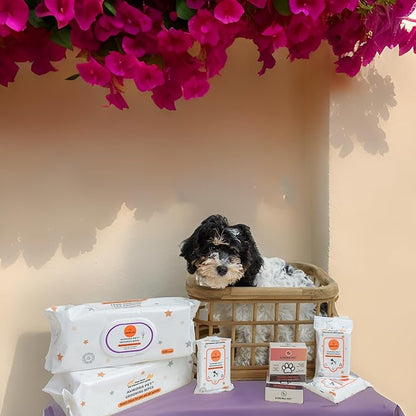 Aurora Pet Wipes – 100% Natural, Plant-Based Hypoallergenic Grooming Wipes for Dogs & Cats – Extra-Durable, Large & Thick for Effortless Cleaning (Lavender, 100 Count)