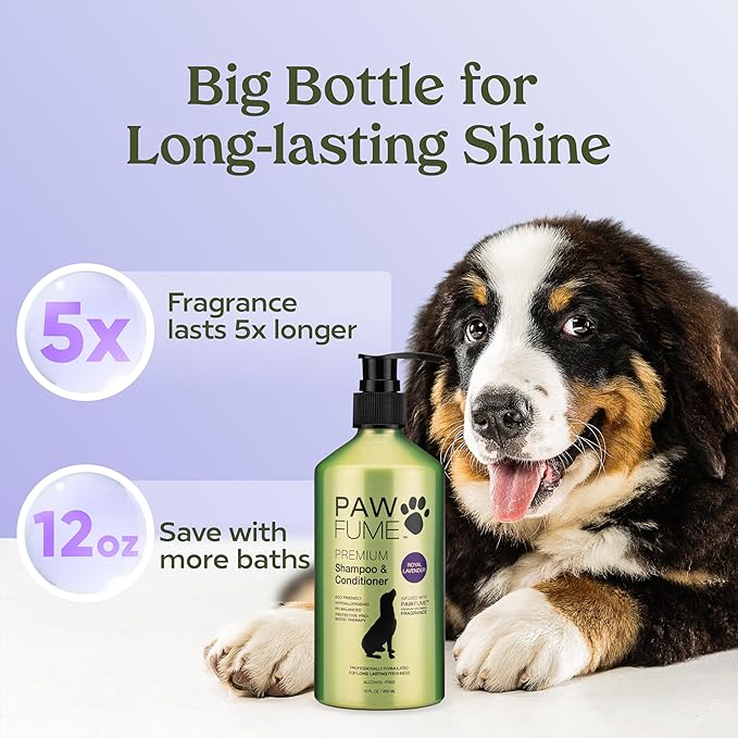 PAWFUME Dog Shedding Shampoo and Conditioner, Royal Lavender, 4-Pack  Nourish & Detangle for Silky Soft Coat  Probiotic, Deep-Cleaning, pH-Balanced  Salon-Quality Shedding Shampoo for Dogs