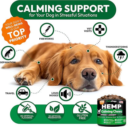 Hemp Calming Chews for Dogs - 170 Dog Calming Chews - Anxiety Relief Treats - Advanced Stress Relief Supplement, Separation Aid, Barking, Fireworks, Melatonin - Hip & Joint Support - Made in USA