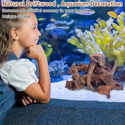 PINVNBY Natural Large Driftwood for Aquarium Fish Tank Decorations, Driftwood for Reptile Tank Bearded Dragon Tank Accessories Terrarium Decor (7.5 to 14.5 inches / 2 Pack)