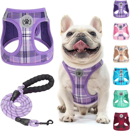 BEAUTYZOO Small Dog Harness and Leash Set, Step in No Chock No Pull Soft Mesh Dog Harnesses Reflective for Extra-Small/Small Medium Puppy Dogs and Cats, Plaid Dog Vest Harness for XS S Pets, Purple L
