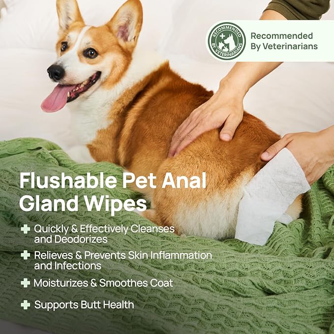 HICC PET Wipes for Dogs & Cats, Cleansing Deodorizing & Soothing Allergy Infections Anal Gland Pets Wipes with Coconut Oil - Dog Grooming Wipes for Butt and Paw - Hypoallergenic & Vet Recommended
