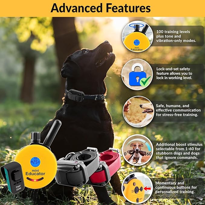 E-Collar  Educator ET-302-1/2 Mile Waterproof Remote Dog Training Collar Includes Premium Finger Clicker Trainer, 100 Programmable Levels + Vibration + Light + Sound