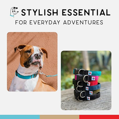 Dog Collar, Lightweight, Heavy Duty Dog Collar with Buckle, Fabric Pet Collar, Breathable & Adjustable Puppy Collar, Dog Collars for Small Dogs (Turquoise, Small - 8-12 Inch) - Wildebeest