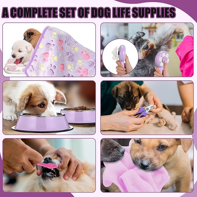 Abbylike 50 Pcs Puppy Supplies Starter Kit for Small Dogs Puppy Essentials Includes Leash, Bowls, Teeth Brushes, Water Bottle, and More Accessories for Dogs Christmas Welcome Gift(Purple)