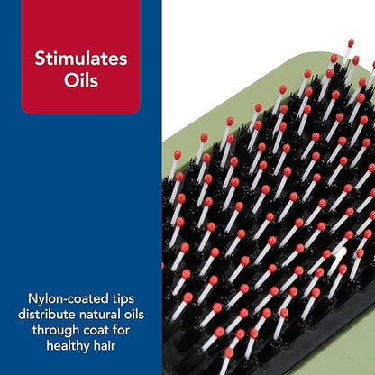 Coastal Pet Safari Complete Dog Brush - 2-in-1 Design Dog Slicker Brush with Grooming Bristles - Detangling & Dematting Dog Brush - One Size