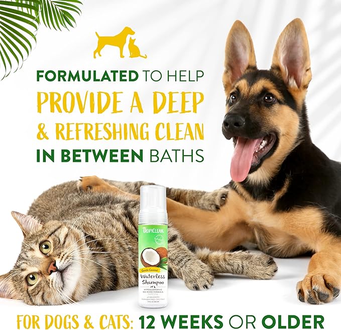 TropiClean Hypoallergenic Waterless Dog Shampoo | Dry Shampoo for Allergies & Sensitive Skin | Safe for Cats | Puppies & Kittens | No Rinse | 7.4oz