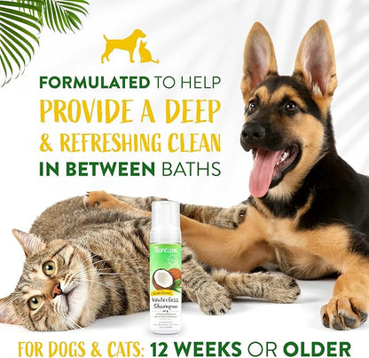 TropiClean Hypoallergenic Waterless Dog Shampoo | Dry Shampoo for Allergies & Sensitive Skin | Safe for Cats | Puppies & Kittens | No Rinse | 7.4oz