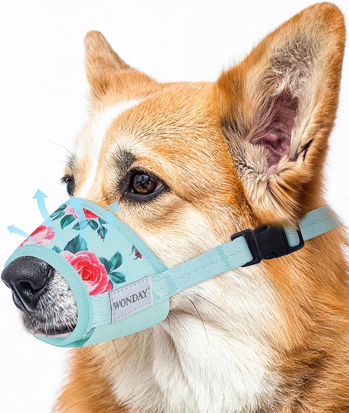 Dog Muzzle for Small Medium Large Dogs, Dog Muzzles for Biting Barking and Chewing Puppy Muzzle Nylon Soft Mesh Breathable Adjustable Loop Muzzle Anti-Dropping (Blue, Medium)