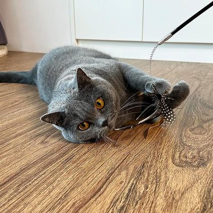 TTcat Cat Wand Toys,Flexible Spring and 4PCS Feather Refills,Teaser Toy,Interactive Toys for Indoor Cats and Kitten to Play Chase Exercise.