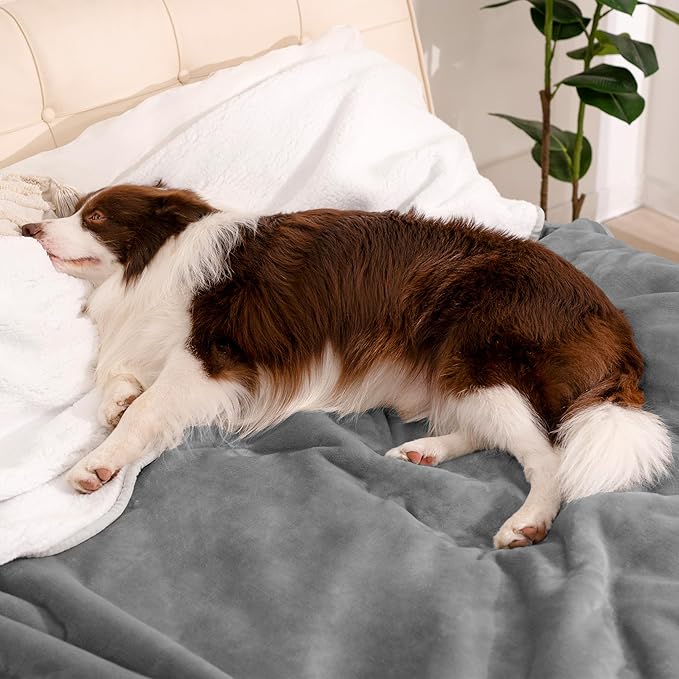gogobunny Waterproof Bed Blanket, Reversible Sherpa Fleece Throw Blanket for Dog Puppy Cat, Furniture Cover Protects Bed Couch Sofa from Liquid Pee and Pet Fur (Grey, 50x60 inches)