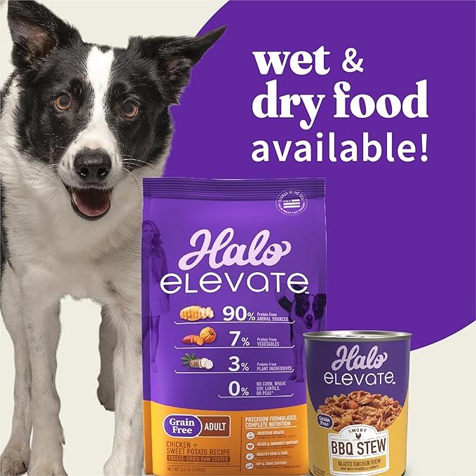 Halo Elevate Wet Dog Food, Grain Free, Homestyle Bone-in Chicken Stew with Carrots & Spinach, 12.7oz (Pack of 6)