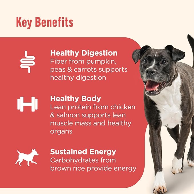 Nutrish Gentle Digestion Premium Paté Wet Dog Food, Real Chicken, Pumpkin & Salmon Recipe, 13 oz. Can, 12 Count (Rachael Ray)