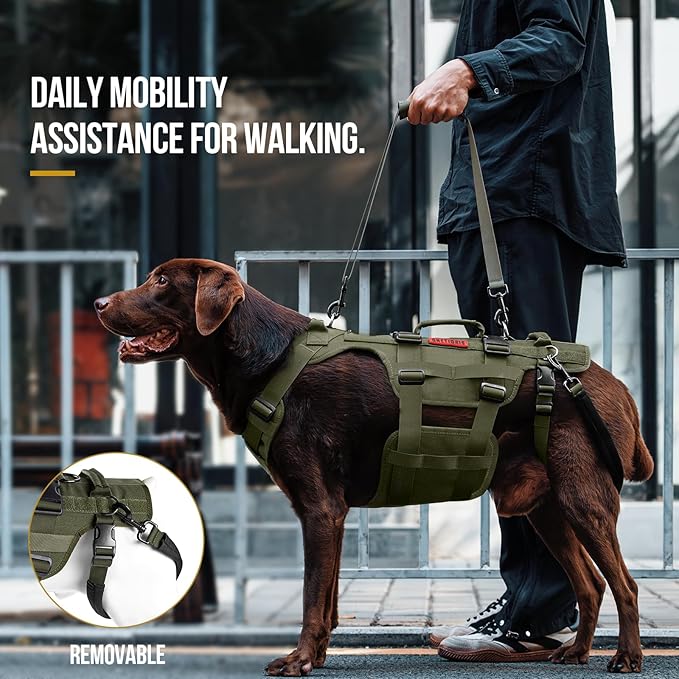 OneTigris Dog Lift Harness for Large Dogs, Dog Hip Support Brace, Full Body Dog Lifter with Handles Invictus Multifunctional Mobility Assistance Vest for Back Legs (Green, Medium)