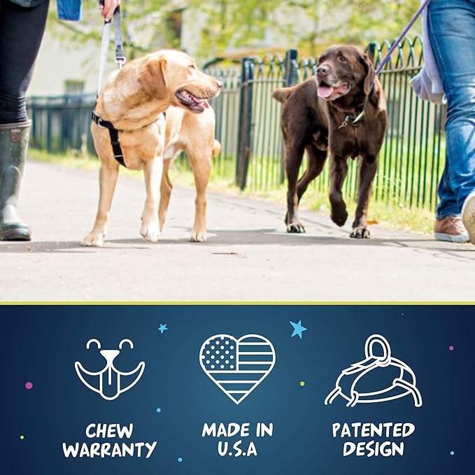 2 Hounds Design Freedom No Pull Dog Harness with Leash, Adjustable Gentle Comfortable Control for Easy Dog Walking, for Small Medium and Large Dogs, Made in USA