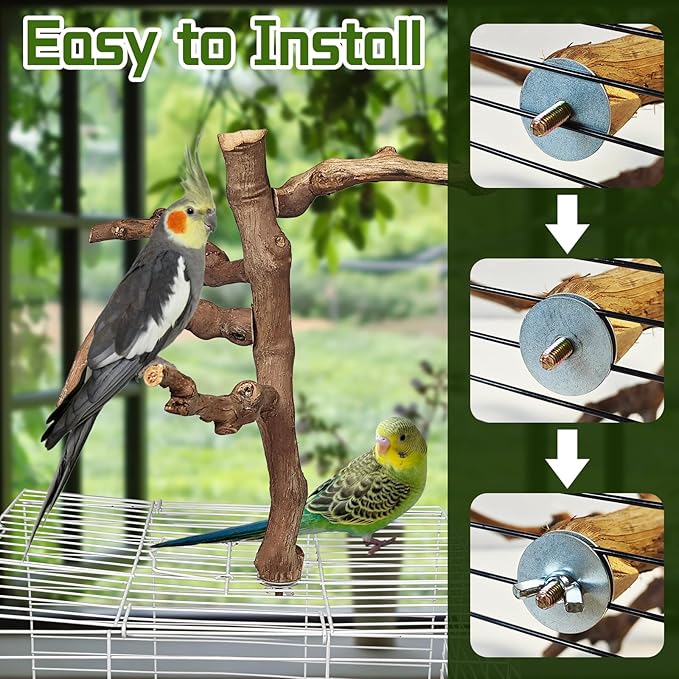 Bird Perch Stand Natural Parrot Perch for Cage Parakeet Climbing Platform Branches Swing Toy Cage Accessories for Cockatiels Lovebird Finches Canaries Budgie