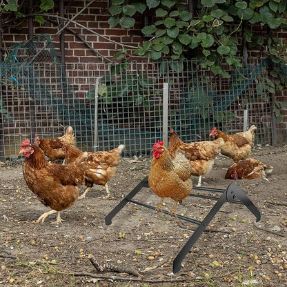 Adjustable Chicken Perch for Coop, Chicken Perches Roosting Bar, Metal Chick Roosting Bars for Brooder, Chicken Roosting Perch, Baby Chick Toys Training Perches for Hens Birds, Black