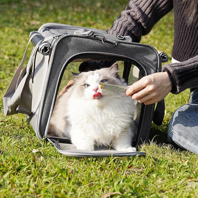 HSC PET Carrier for Large Cats, Soft-Sided Pets Carrier for Rabbit Puppy Small Animals up to 20lbs, Washable Dog Bag Mats Privacy Protection for Home Outdoor Travel